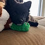 puppy, black_dog, plush_toy, couch, indoor, resting, soft, cute, pet, animal, fur, ears, snout, toy, relaxing, closeup, home, cozy, young, companion