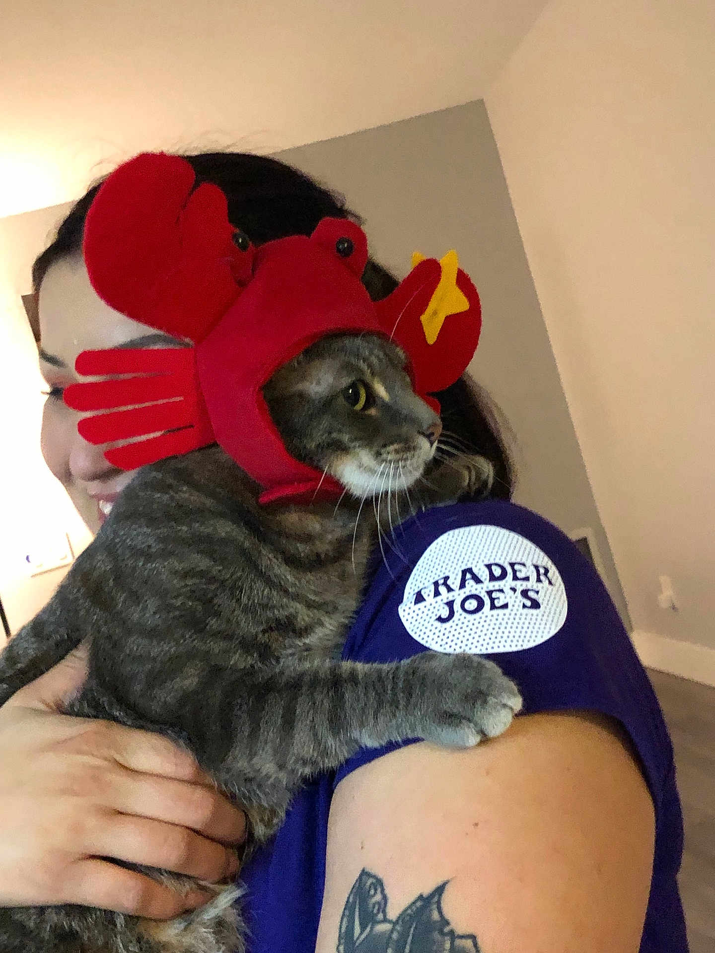 Bean joined the competition — help win amazing prizes! cat, person, costume, indoor, tabby, animal, pet, holding, hat, red, purple_shirt, tattoo, trader_joes, face, hand, whiskers, clothing, cute, funny, expression