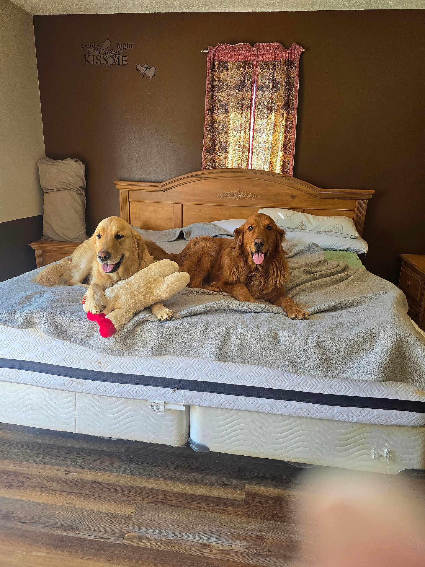 Milo And Cosmo