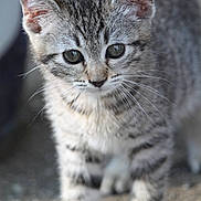 Lilou participe au concours pour gagner de l'argent avec cette photo :