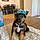 Bruno