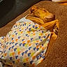 animal, blanket, brown, canine, comfort, covered, cozy, cute, dog, fur, heart_pattern, indoor, nap, pet, relaxed, resting, sleeping, snug, soft, warm