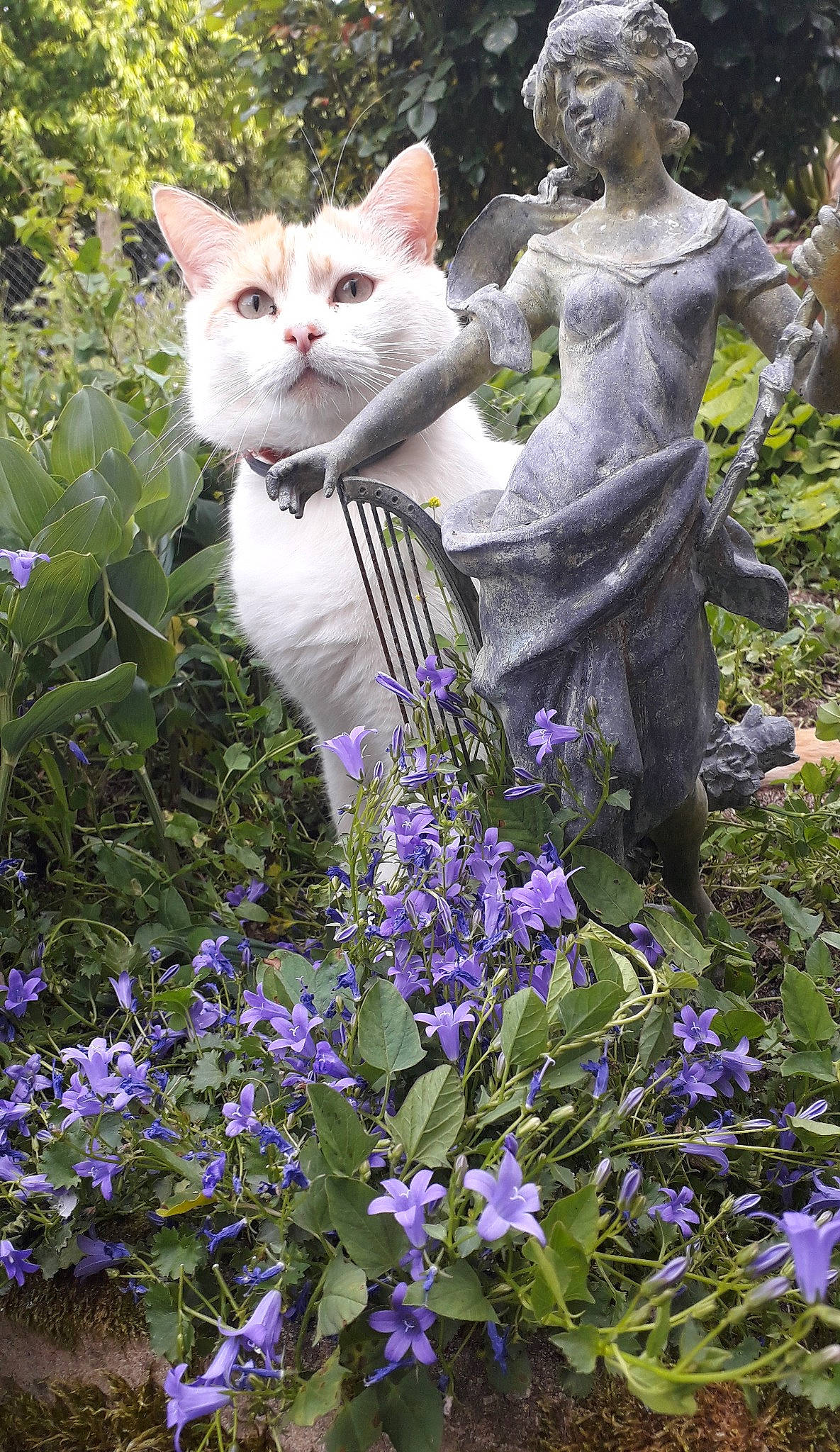 Grelot a rejoint le concours — aidez-le/la à gagner de superbes lots ! art, blue, botany, carnivore, cat, fawn, felidae, flower, grass, green, groundcover, herbaceous_plant, petal, plant, purple, sculpture, shrub, small_to_medium_sized_cats, statue, whiskers