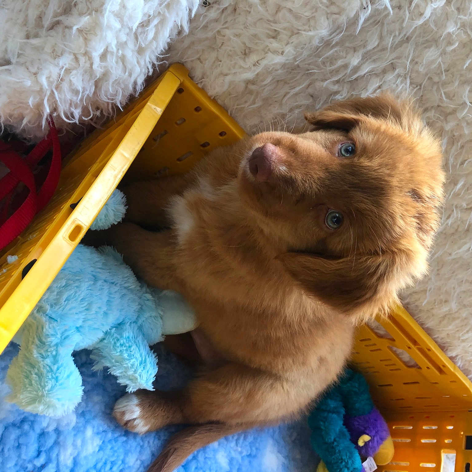 Ragnar