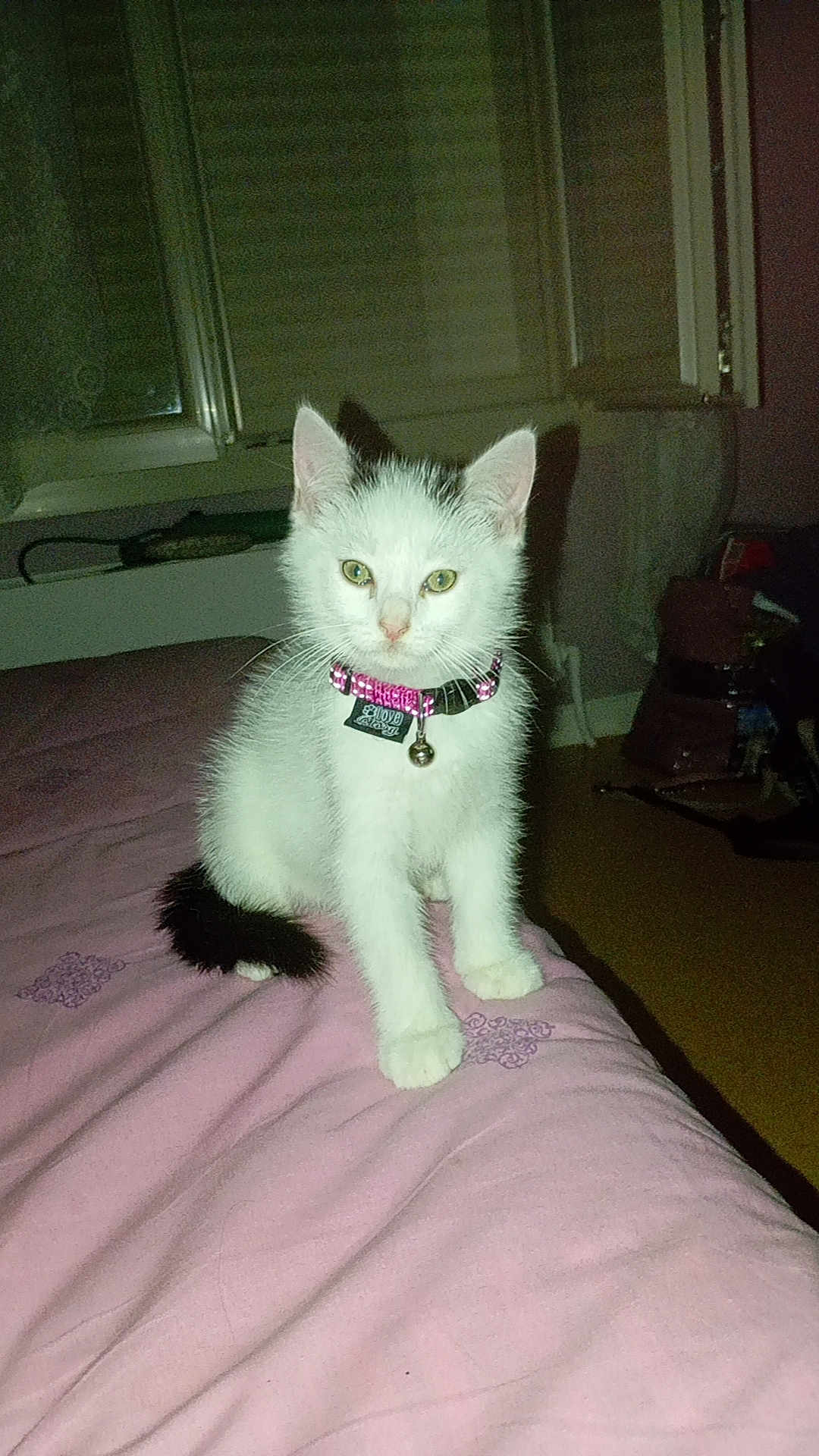 Marie