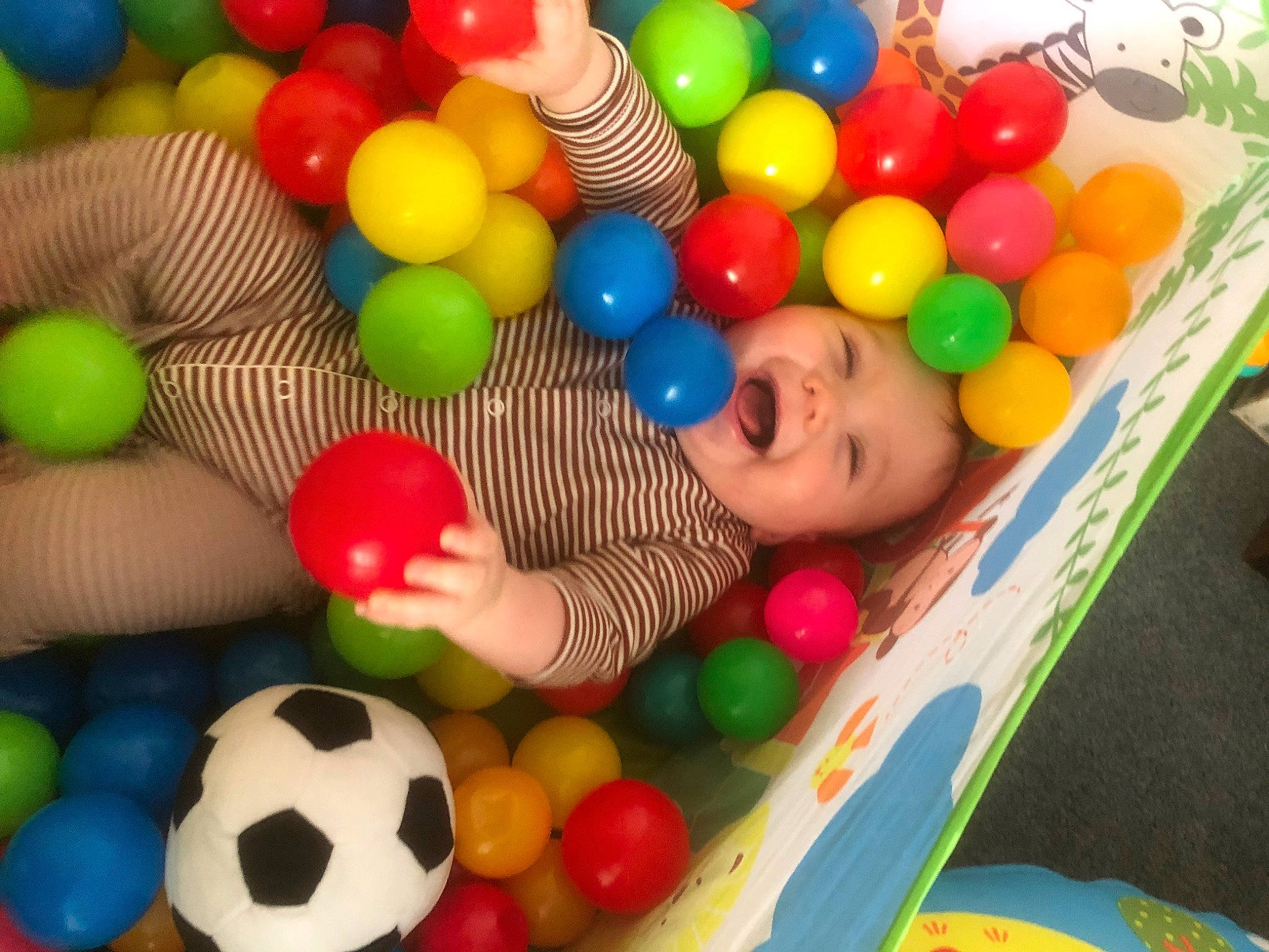 Jayj joined the competition — help win amazing prizes! baby, baby_products, baby_toys, ball, ball_pit, balloon, child, event, fun, headwear, leisure, party_supply, person, plastic, play, product, recreation, room, sports_toy, sweetness