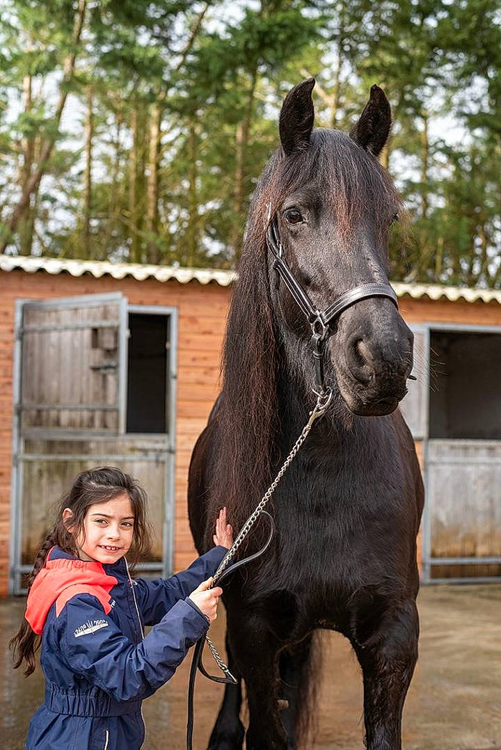 Nelly participe au concours pour gagner de l'argent avec cette photo : bridle, halter, horse, horse_grooming, horse_harness, horse_supplies, horse_tack, horse_trainer, livestock, mammal, mane, mare, mustang_horse, organism, pack_animal, rein, riding_instructor, snout, stallion, vertebrate