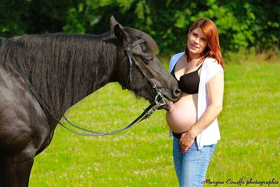 Nelly participe au concours pour gagner de l'argent avec cette photo : bridle, grassland, halter, horse, horse_supplies, horse_tack, mammal, mane, mare, meadow, mustang_horse, organism, photography, recreation, rein, riding_instructor, snout, stallion, vertebrate, working_animal
