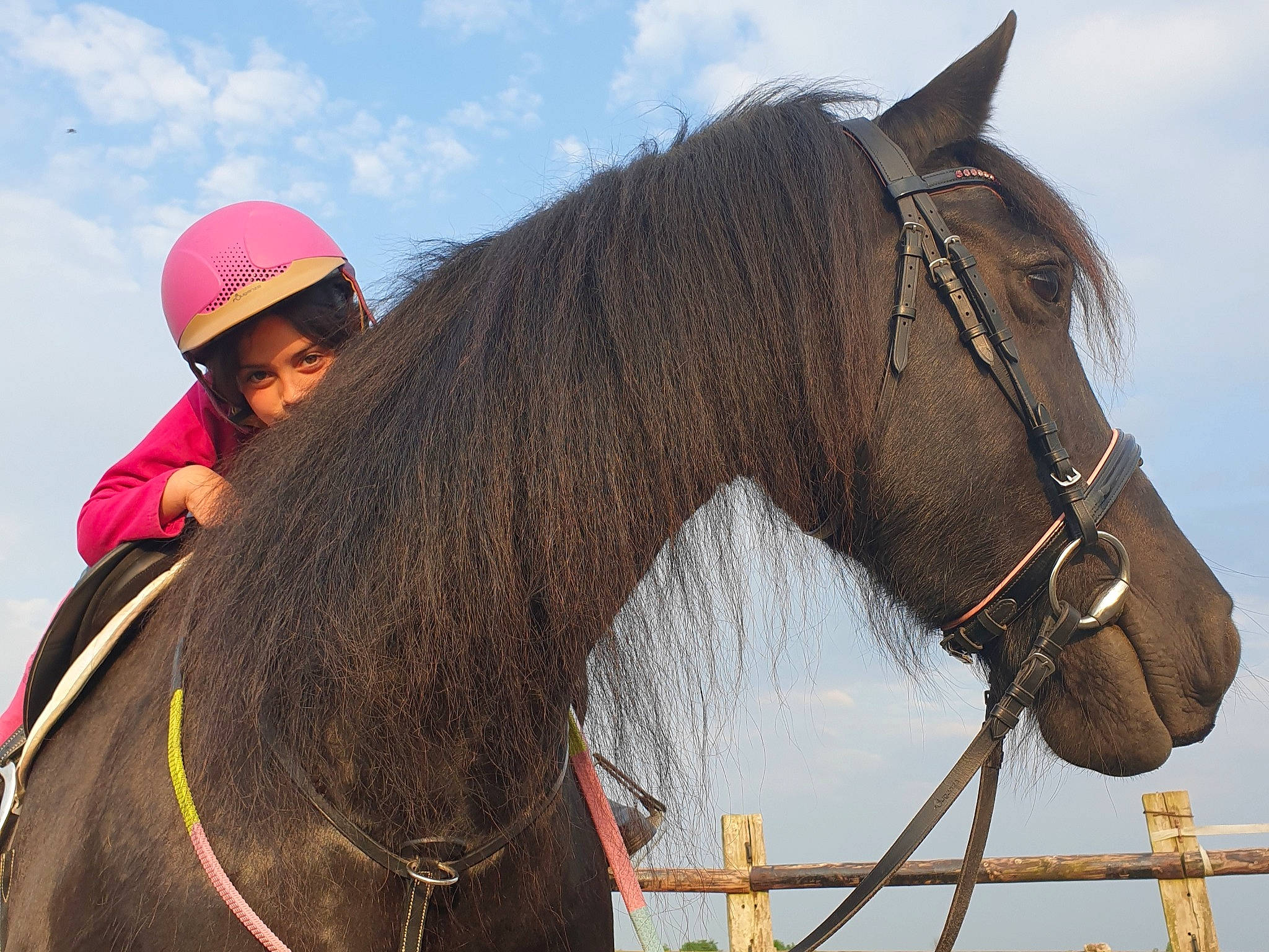 Nelly participe au concours pour gagner de l'argent avec cette photo : bit, bridle, halter, horse, horse_harness, horse_supplies, horse_tack, horse_trainer, mammal, mane, mare, organism, pack_animal, recreation, rein, riding_instructor, sky, snout, stallion, vertebrate
