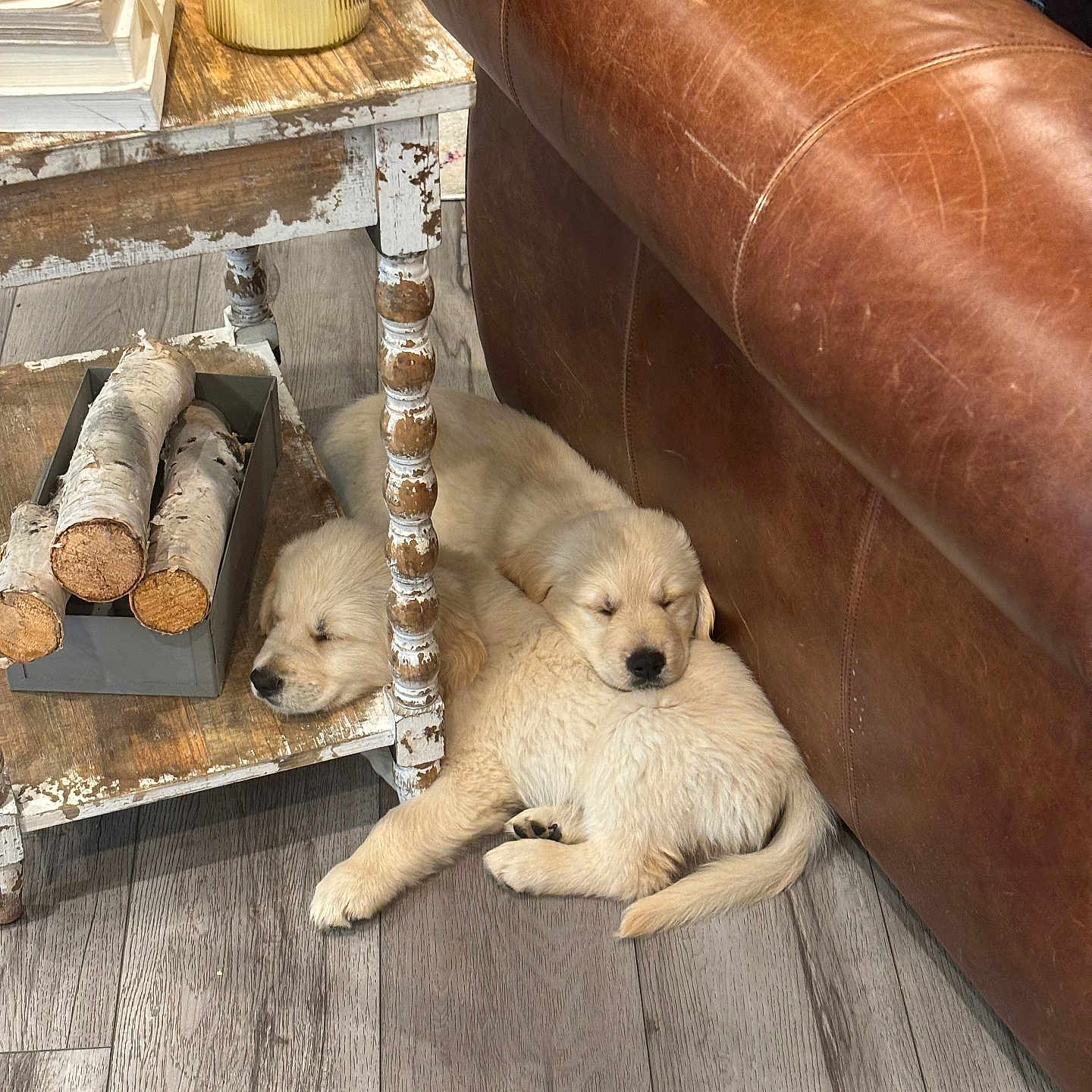 Honey And Charlie