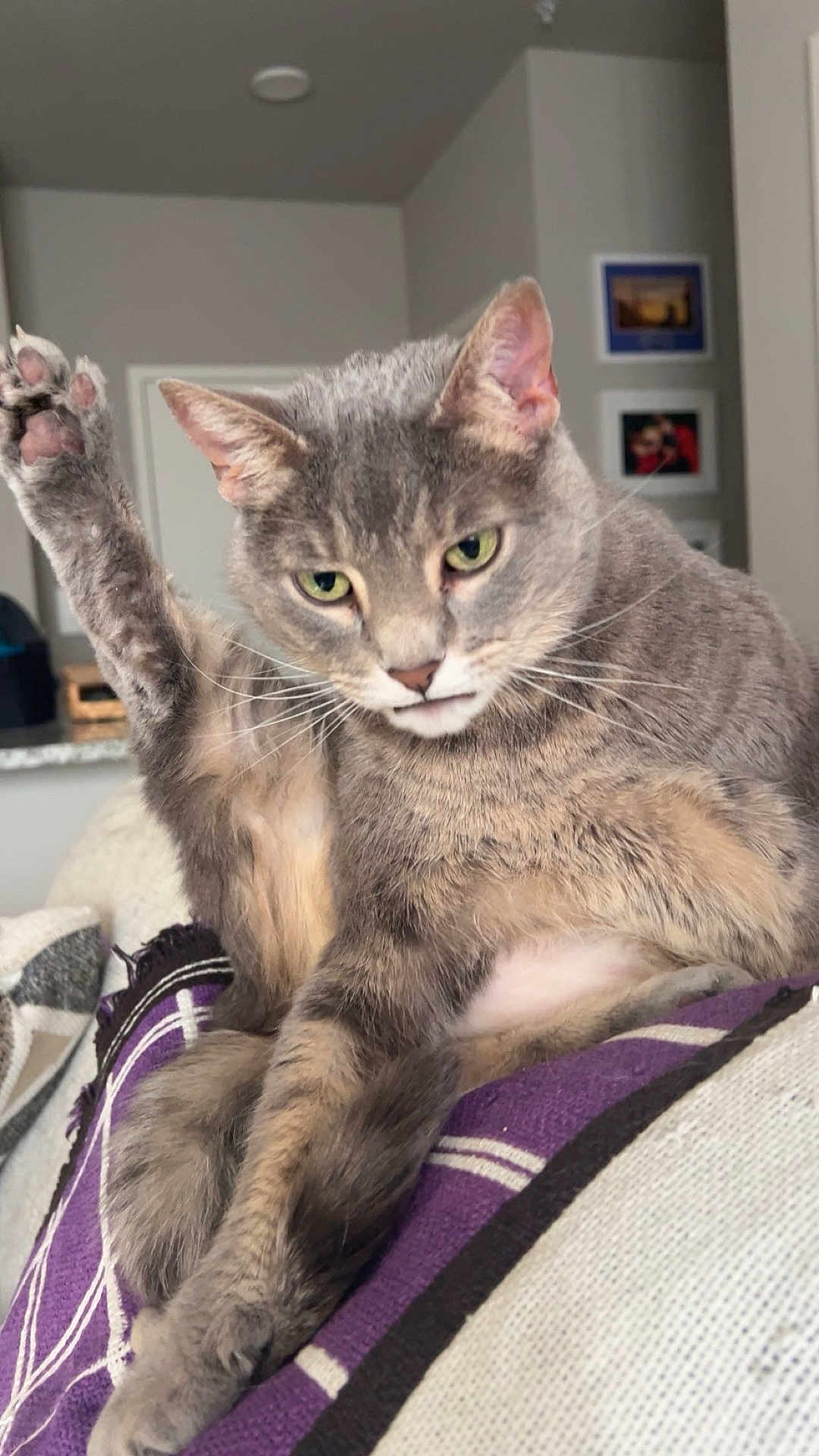 Ramona