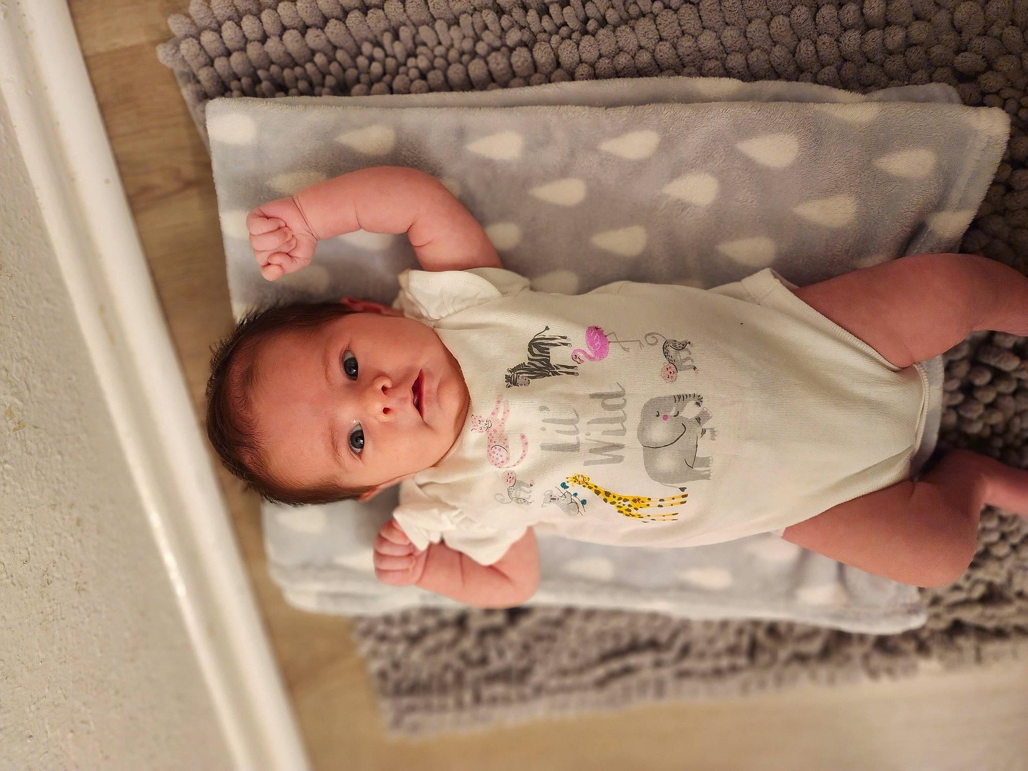 Noemy is registered to the contest to win money with this photo: baby, baby_products, baby_safety, baby_sleeping, baby_toddler_clothing, bedtime, child, comfort, eye, infant_bed, linens, pattern, person, product, room, skin, sleep, sleeve, textile, toddler