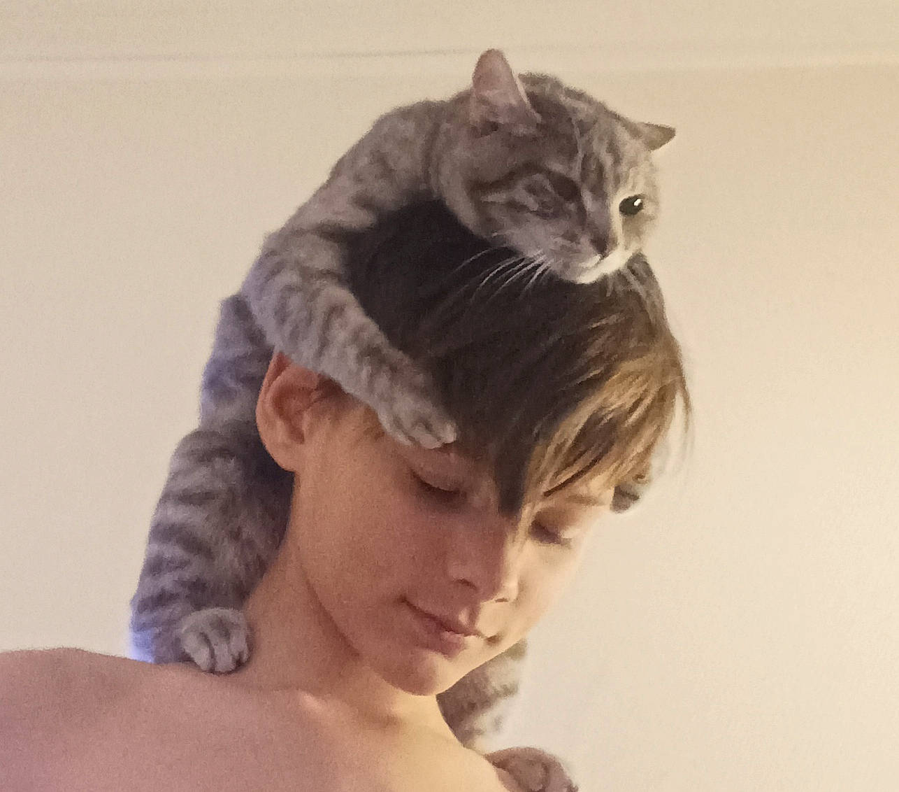 Rubis participe au concours pour gagner de l'argent avec cette photo : art, cap, carnivore, cat, child, comfort, domestic_short_haired_cat, ear, eyelash, fashion_accessory, fawn, felidae, fur, gesture, headgear, paw, small_to_medium_sized_cats, sunglasses, tail, whiskers