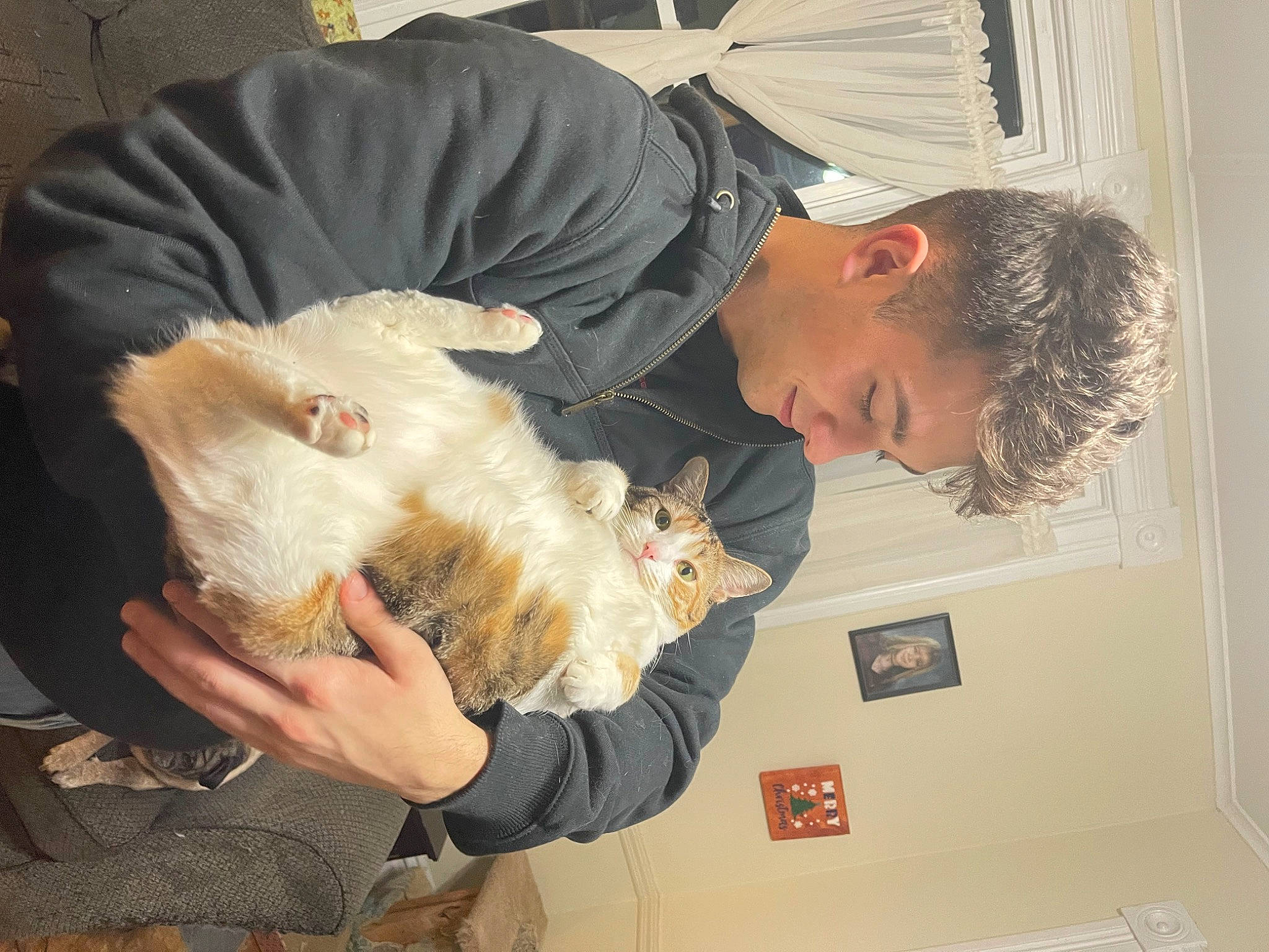 Kimba joined the competition — help win amazing prizes! art, canidae, carnivore, child, companion_dog, dog_breed, felidae, fur, non_sporting_group, small_to_medium_sized_cats, spitz, sporting_group, stuffed_toy, tail, toy, umbrella, whiskers, wildlife_biologist