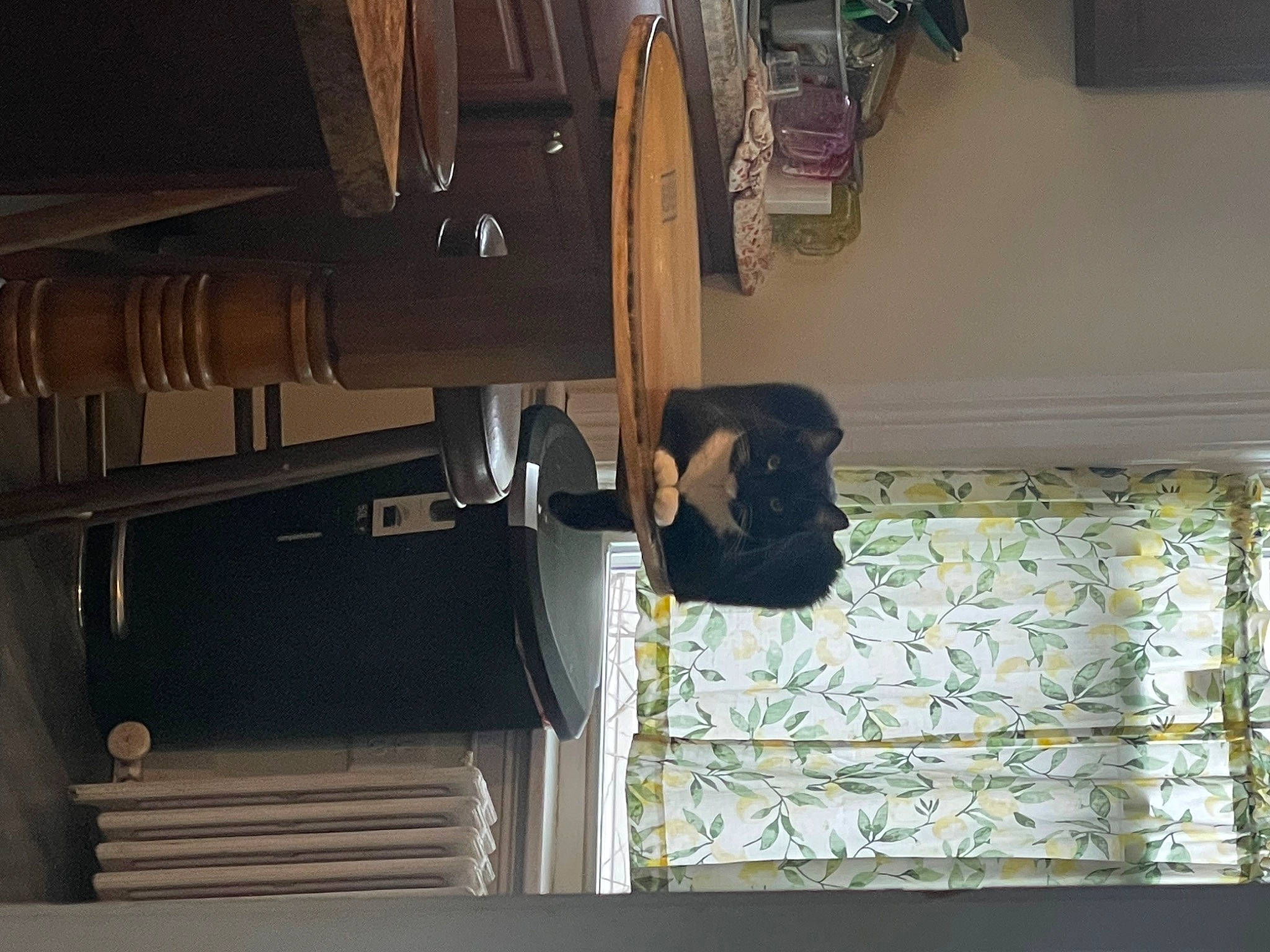 Zuki joined the competition — help win amazing prizes! building, bumper, hardwood, house, machine, metal, room, tints_and_shades, window, wood