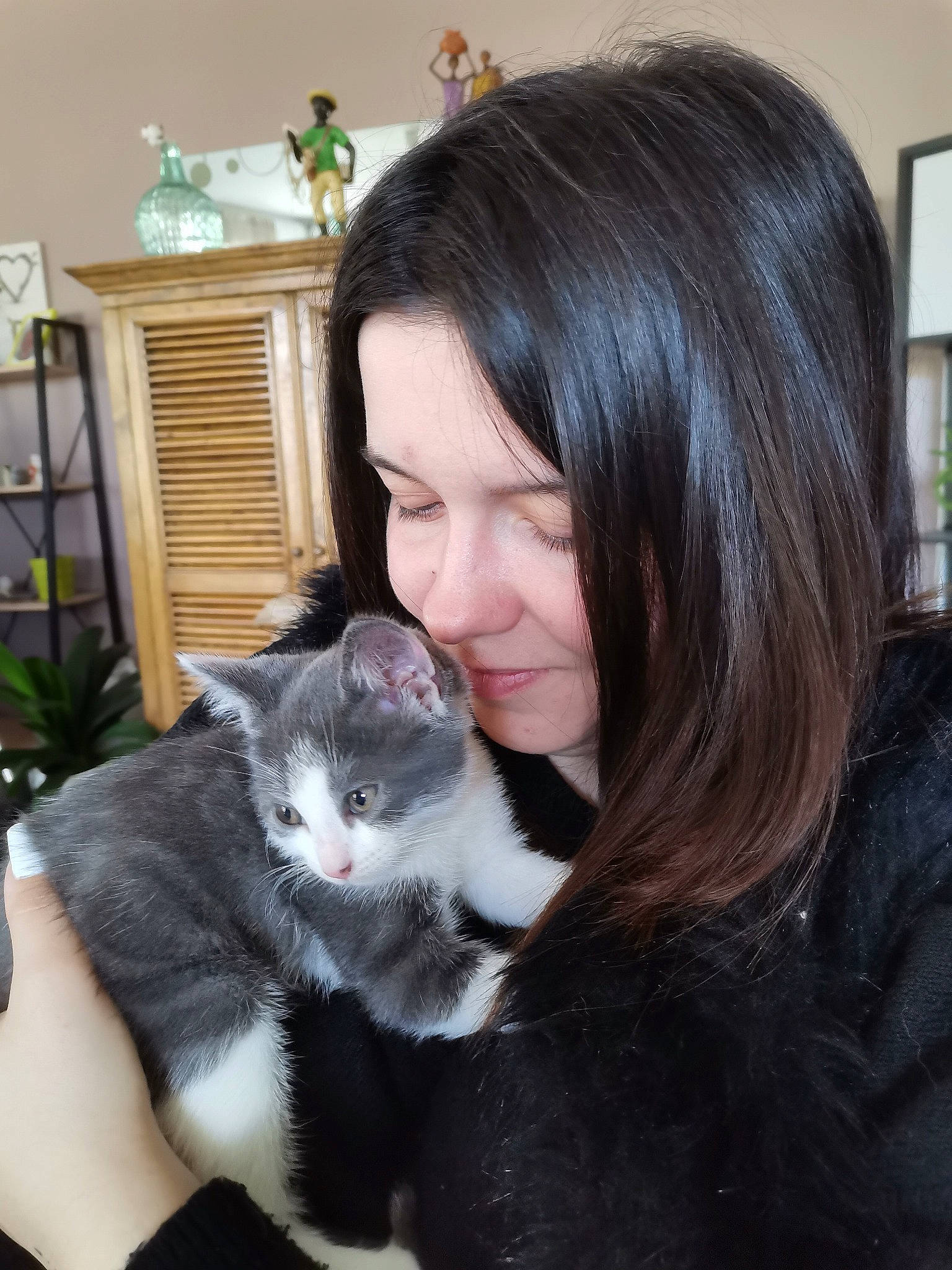 Hermès participe au concours pour gagner de l'argent avec cette photo : bangs, black_hair, carnivore, cat, domestic_short_haired_cat, ear, eyelash, felidae, formal_wear, fur, gesture, lap, layered_hair, long_hair, moustache, picture_frame, plant, sitting, small_to_medium_sized_cats, whiskers