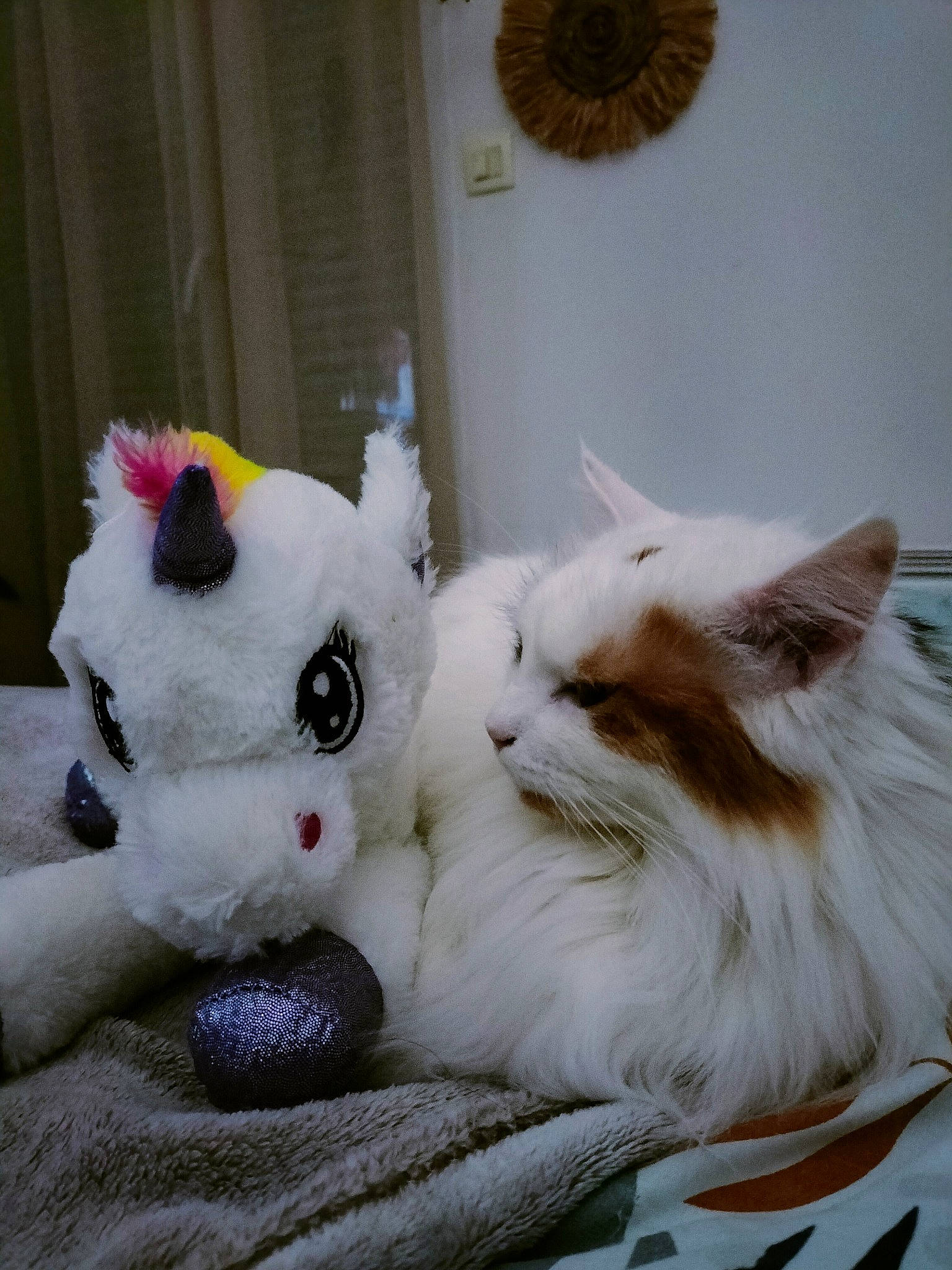 Hermès participe au concours pour gagner de l'argent avec cette photo : art, bed, bedding, carmine, carnivore, cat, comfort, companion_dog, creative_arts, domestic_short_haired_cat, fawn, felidae, fur, linens, paw, small_to_medium_sized_cats, stuffed_toy, tail, toy, whiskers