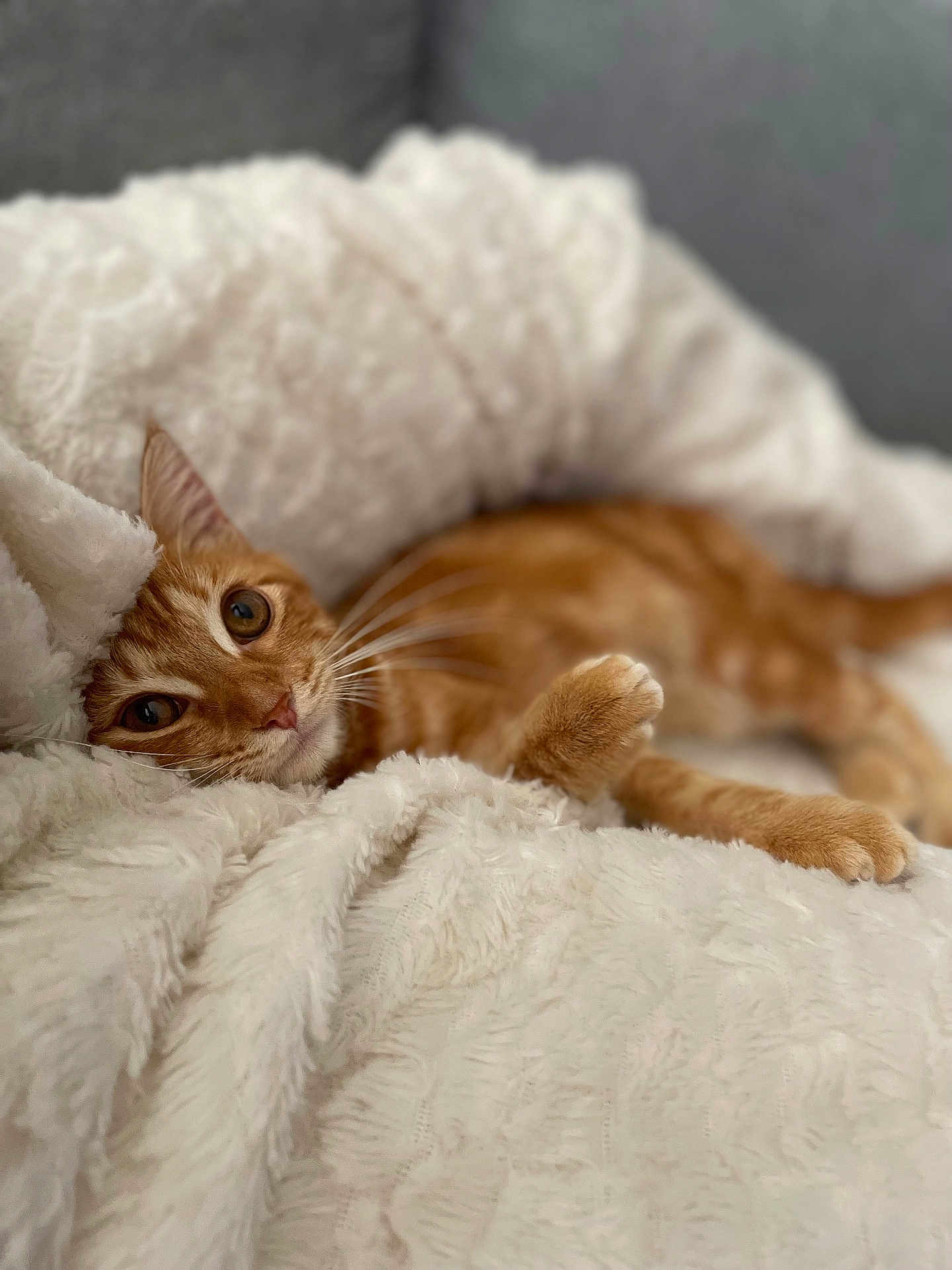 Tigrou
