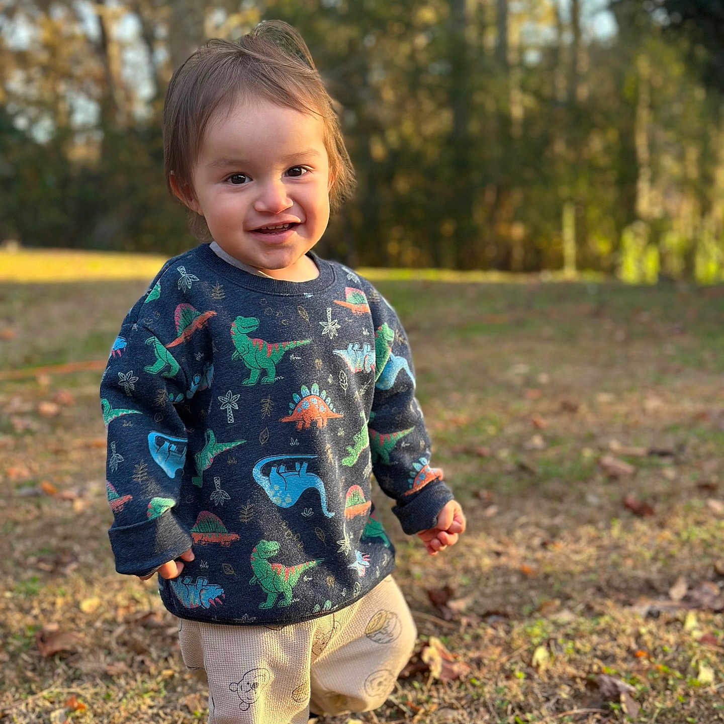 Adelio joined the competition — help win amazing prizes! bokeh, casual_clothing, child, cute, dinosaurs, fall_leaves, grass, happy, nature, outdoors, pants, playful, portrait, shoes, smiling, standing, sunlight, sweater, toddler, trees