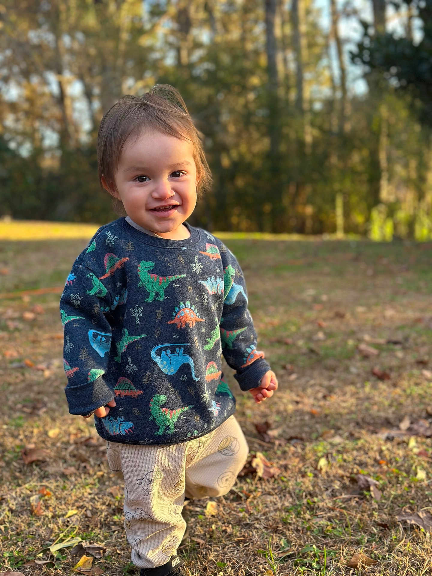 Adelio joined the competition — help win amazing prizes! child, toddler, smiling, outdoors, grass, trees, sweater, dinosaurs, pants, shoes, portrait, cute, sunlight, bokeh, fall_leaves, standing, happy, nature, playful, casual_clothing
