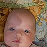 baby, infant, face, blanket, patterned_blanket, safety_warning, text_label, lying_down, clothing, cute, portrait, indoors, child, newborn, expressionless, colorful, soft_toys_pattern, closeup, head, human