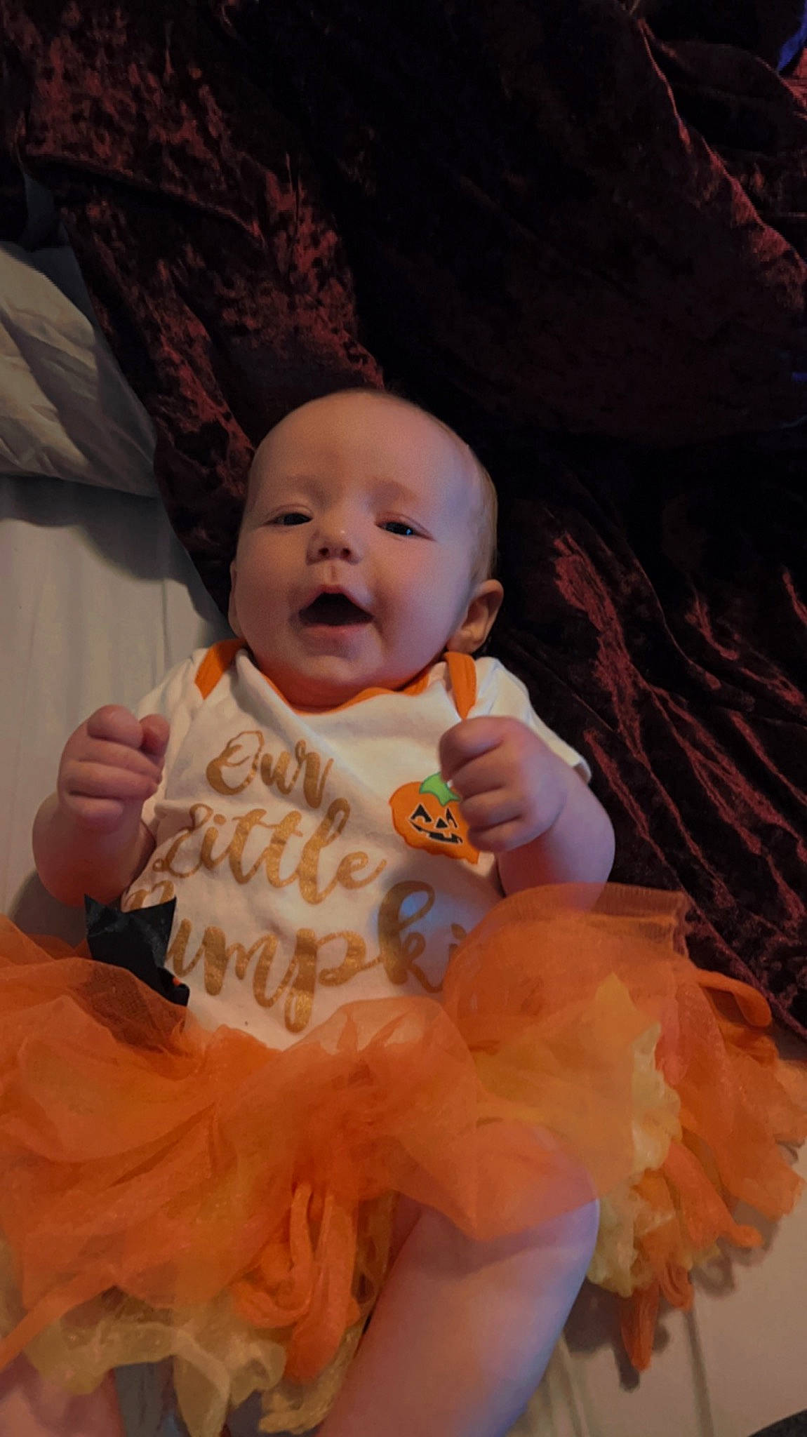 Crimson is registered to the contest to win money with this photo: baby, baby_toddler_clothing, child, fun, happy, iris, peach, person, rock, sitting, skin, smile, t_shirt, toddler, tree, vacation, wood