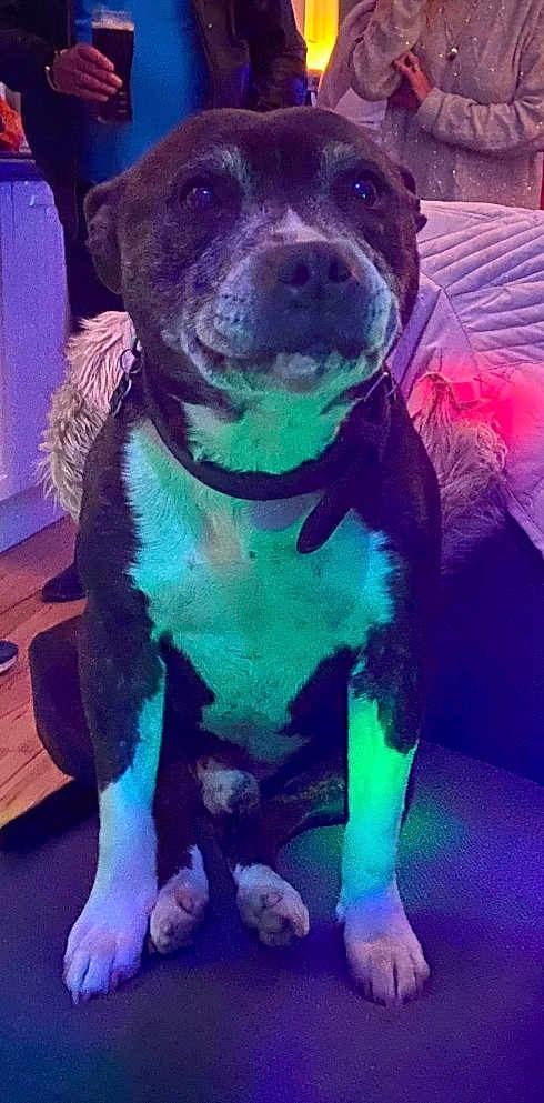 Sox