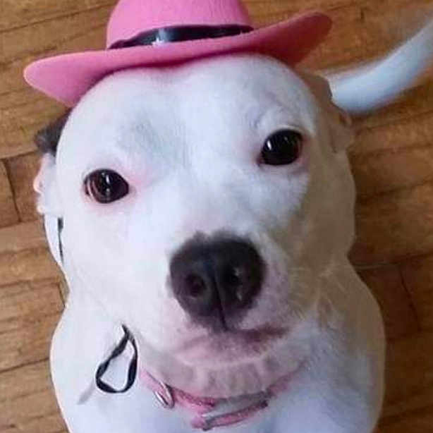 Bella
