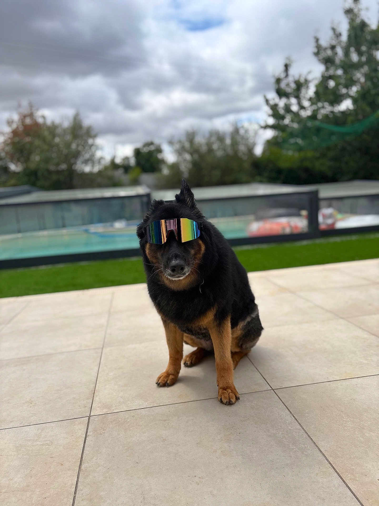 Ahya participe au concours pour gagner de l'argent avec cette photo : dog, sunglasses, outdoor, patio, tile_floor, cloudy_sky, greenery, fence, sitting, black_and_brown, pet, canine, cool, accessory, reflection, summer, leisure, portrait, companion, funny