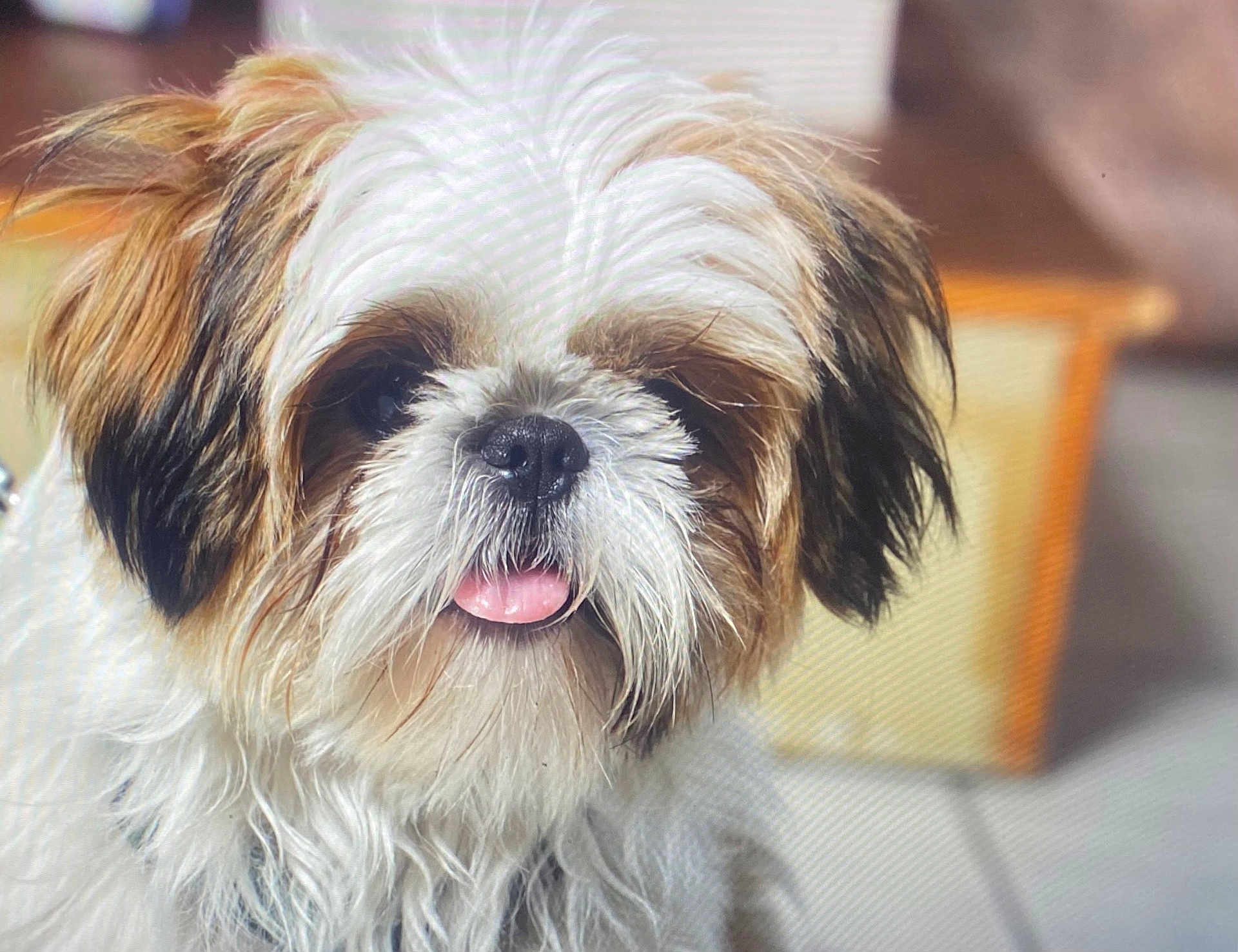 Pablo