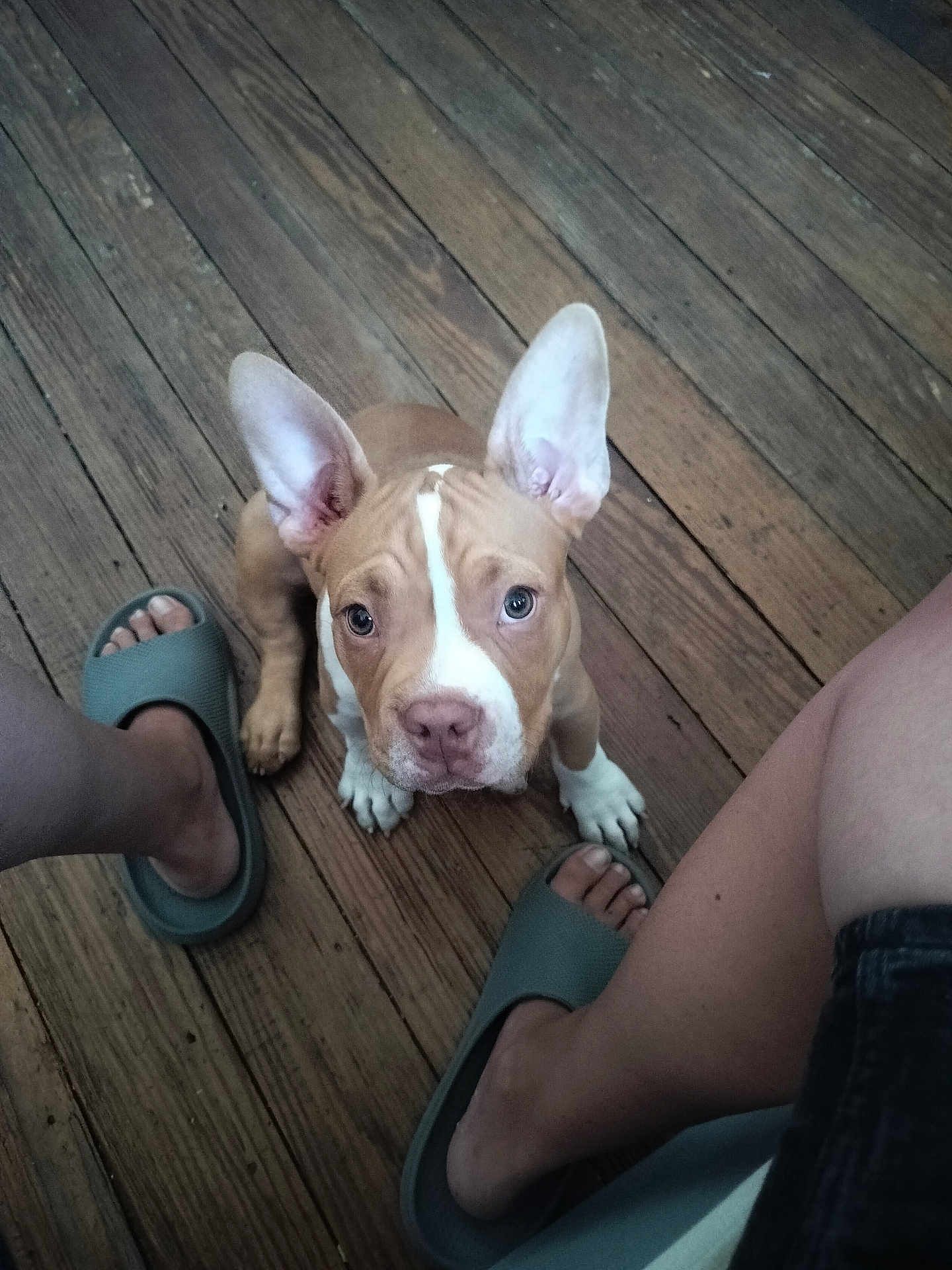 Milo