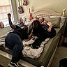 bed, bedroom, blanket, books, bookshelf, carpet, casual_clothing, dog, friendship, glasses, guitar, indoor, people, pillow, relaxing, rottweiler, smiling, sneakers, tattoo, window