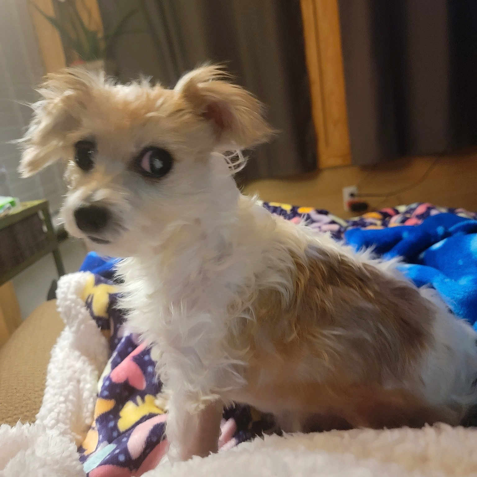 Tink