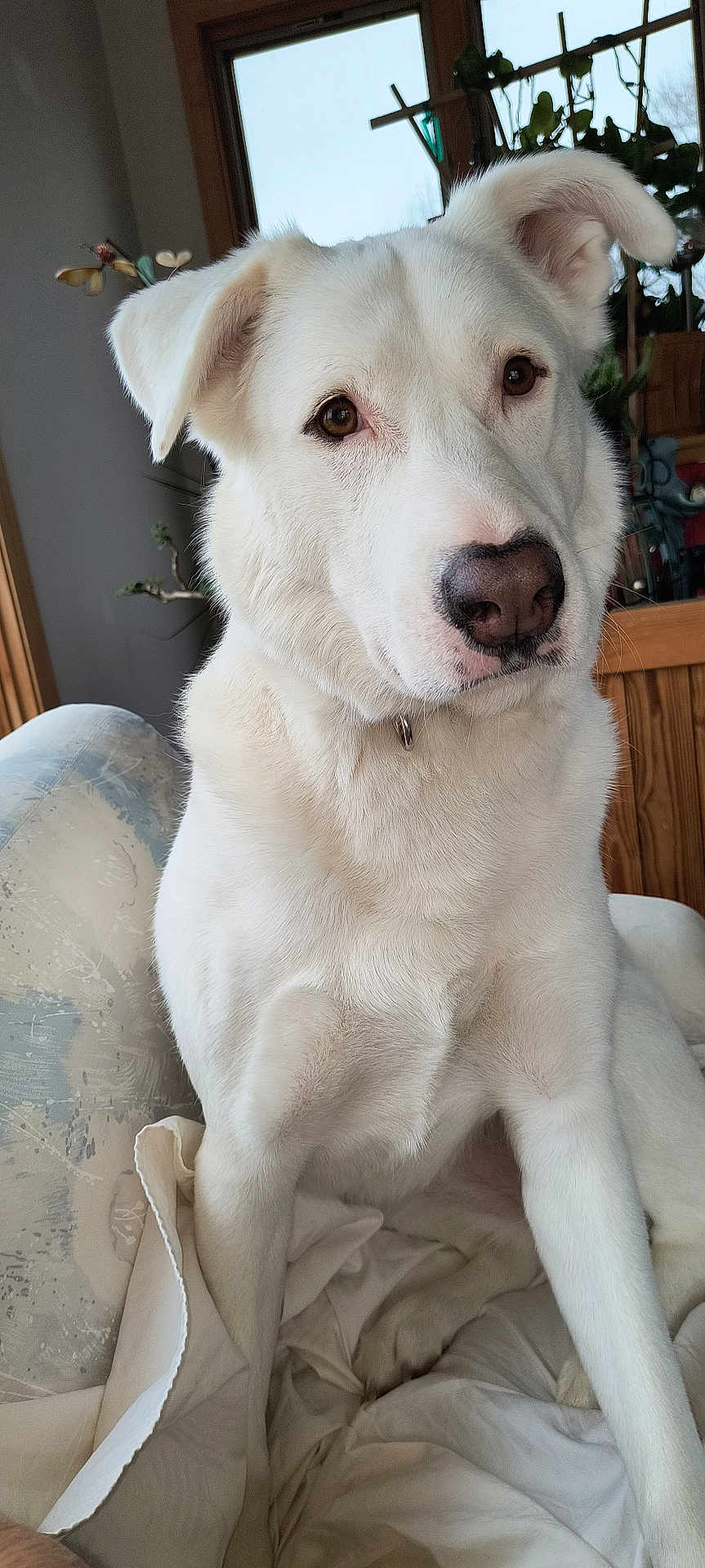 Luna