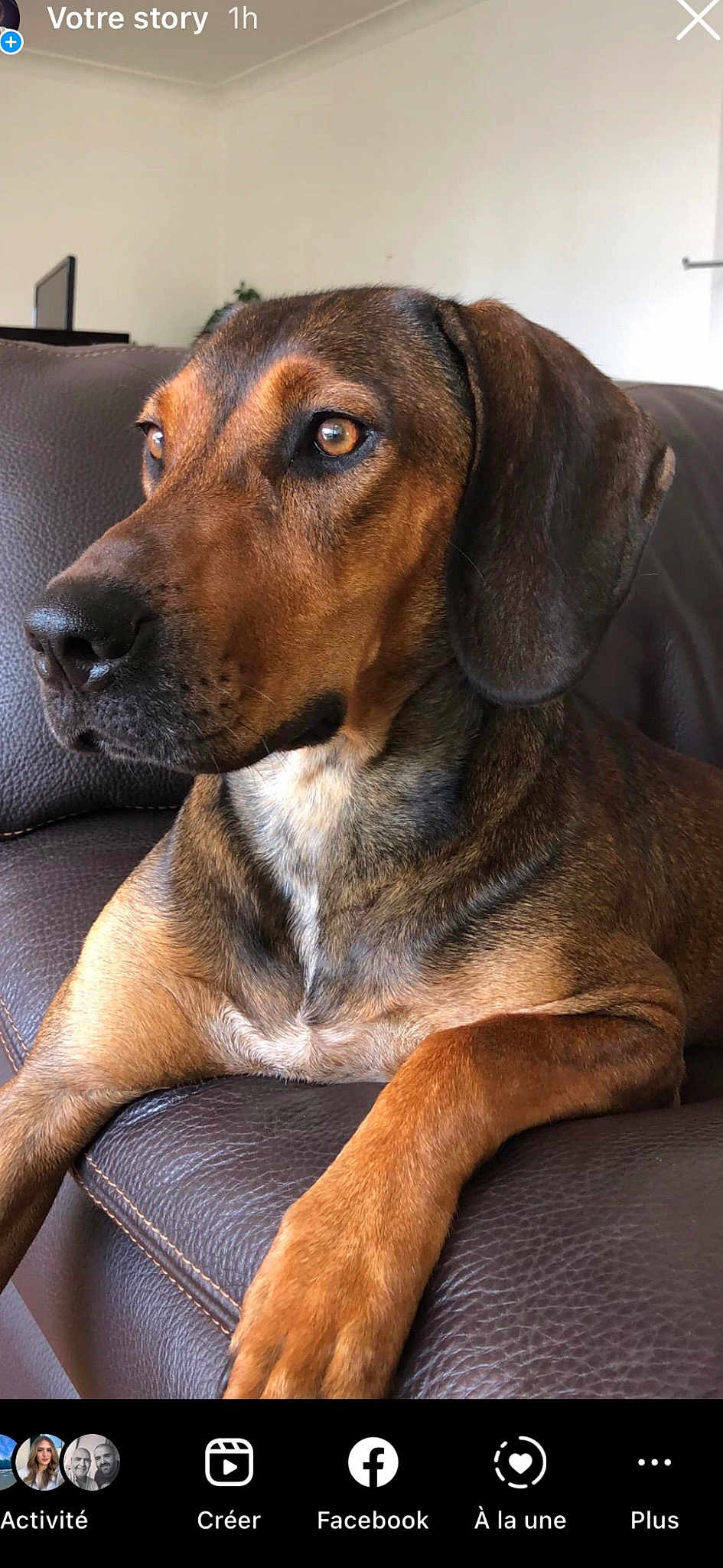 Tina