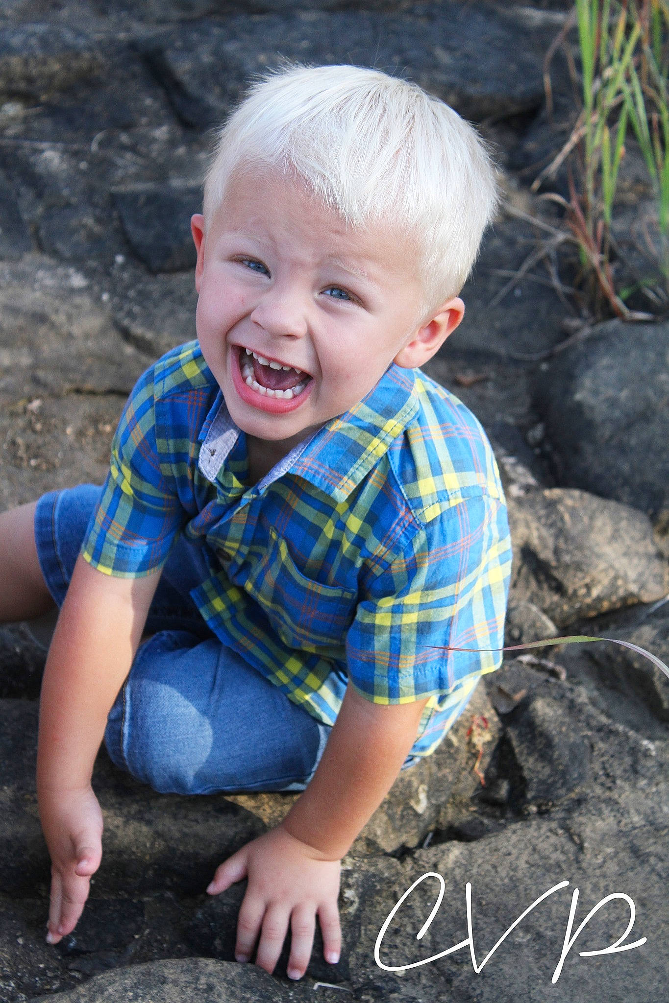Berkley joined the competition — help win amazing prizes! baby, blond, child, child_model, design, facial_expression, grass, joy, laugh, pattern, people, person, photograph, photography, plaid, plant, portrait, portrait_photography, sitting, smile