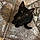 Salem