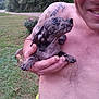 dog, puppy, man, tattoo, shirtless, outdoor, grass, bush, trees, smile, hand, pet, animal, nature, cute, portrait, holding, tongue_out, closeup, daylight