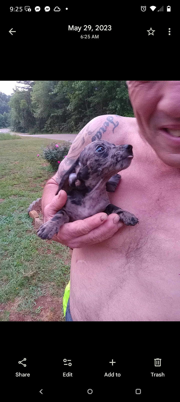 Camo