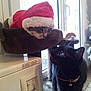 Choupette participe au concours pour gagner de l'argent avec cette photo :