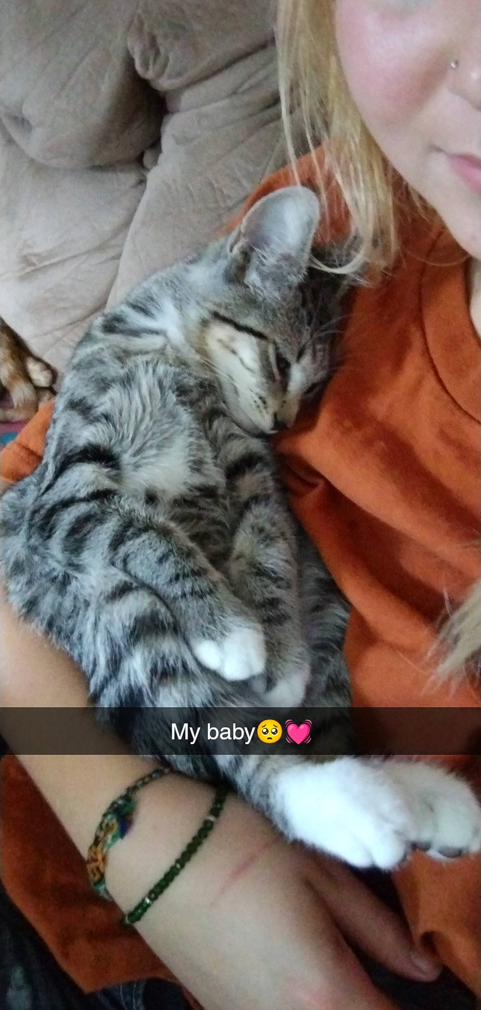 Jasper And Tigger is registered to the contest to win money with this photo: carnivore, cat, claw, comfort, domestic_short_haired_cat, felidae, fur, lap, nail, nap, paw, sleep, small_to_medium_sized_cats, tail, whiskers