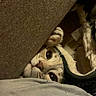 cat, peeking, couch, paw, curious, indoor, cozy, feline, hiding, closeup, fur, eyes, whiskers, pet, animal, soft, texture, cushion, shadow, quiet