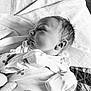 Maverick joined the competition — help win amazing prizes! baby, baby_garment, bed, black_and_white, blanket, clothing, cozy, cute, face, gentle, hand, infant, newborn, newborn_clothes, person, portrait, resting, sleepwear, soft, turtle_pattern