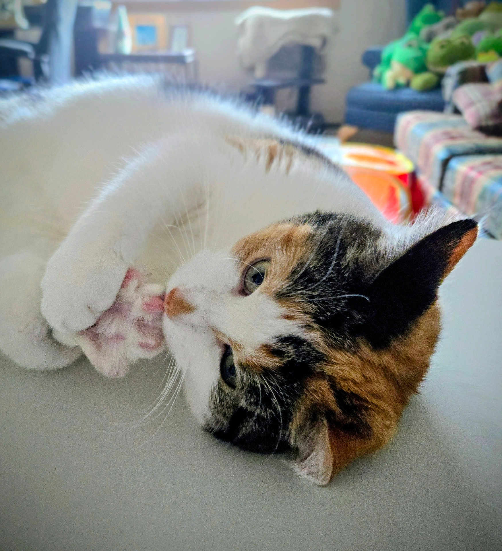 Mellie