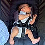 Thomas joined the competition — help win amazing prizes! newborn, baby, sleeping, car_seat, onesie, infant, harness, straps, padded_seat, side_padding, peaceful, skin, foot, hand, head, face, clothing, baby_gear, closeup, indoor