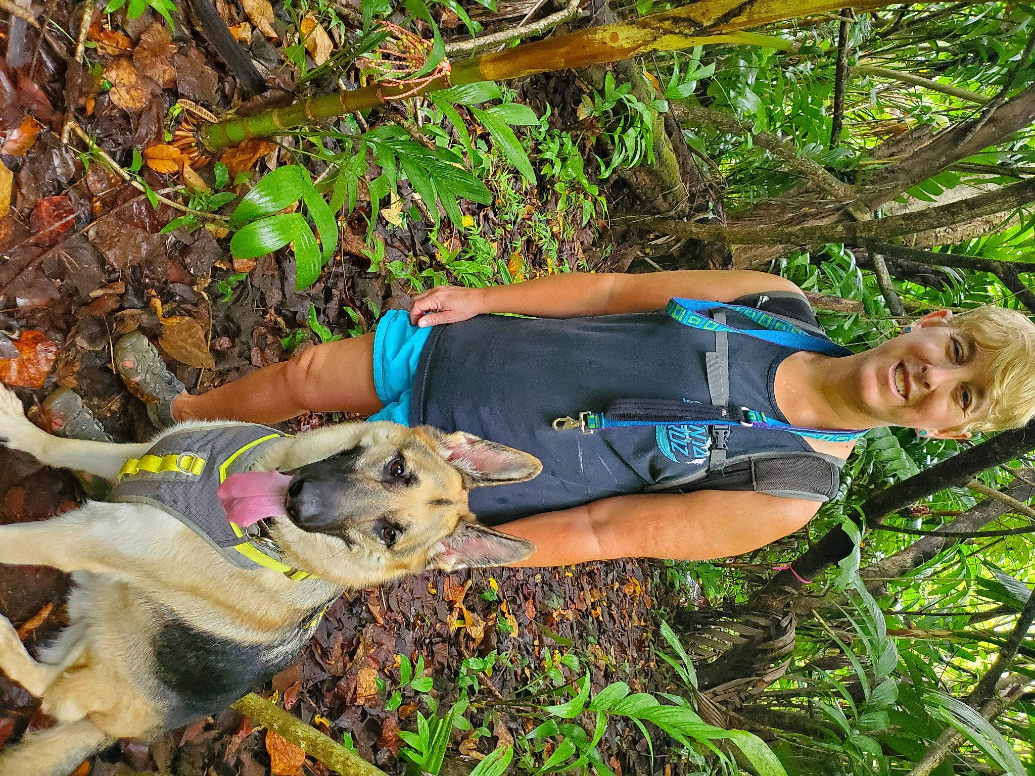Gunner joined the competition — help win amazing prizes! canidae, carnivore, dog, dog_breed, dog_hiking, electric_blue, fawn, human, jungle, mammal, people_in_nature, sporting_group, working_animal