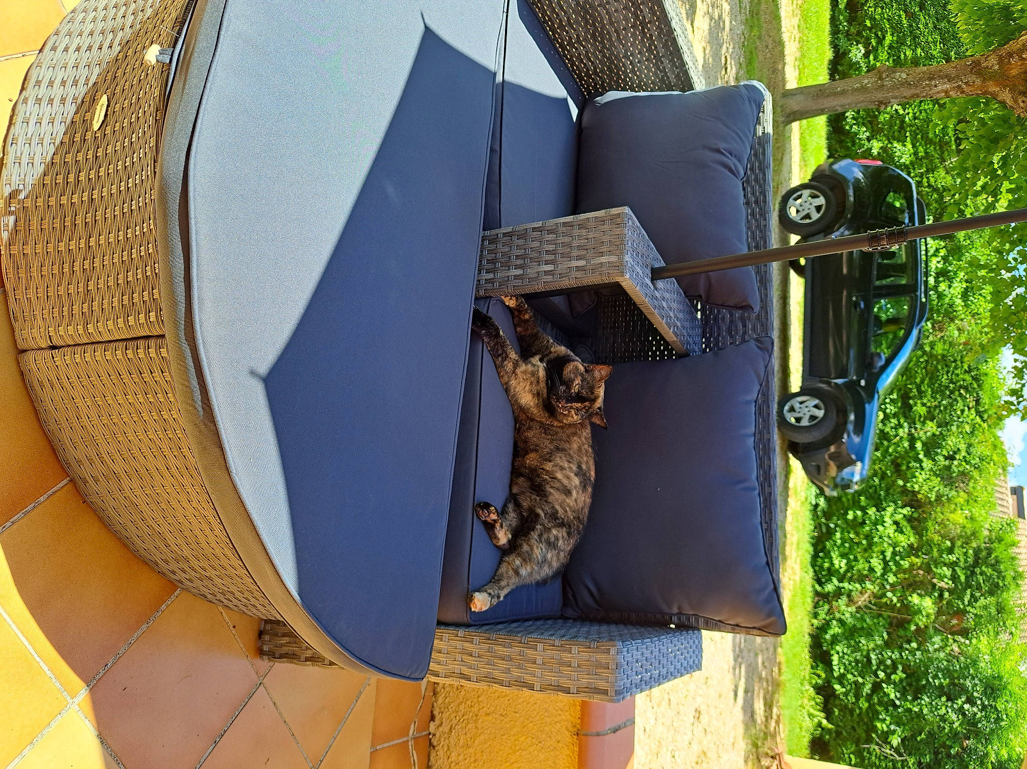 Luna participe au concours pour gagner de l'argent avec cette photo : art, automotive_exterior, automotive_lighting, automotive_tire, building, circle, facade, fashion_accessory, grass, hat, metal, motor_vehicle, pattern, plant, sculpture, shadow, statue, tree, vehicle_door, wood