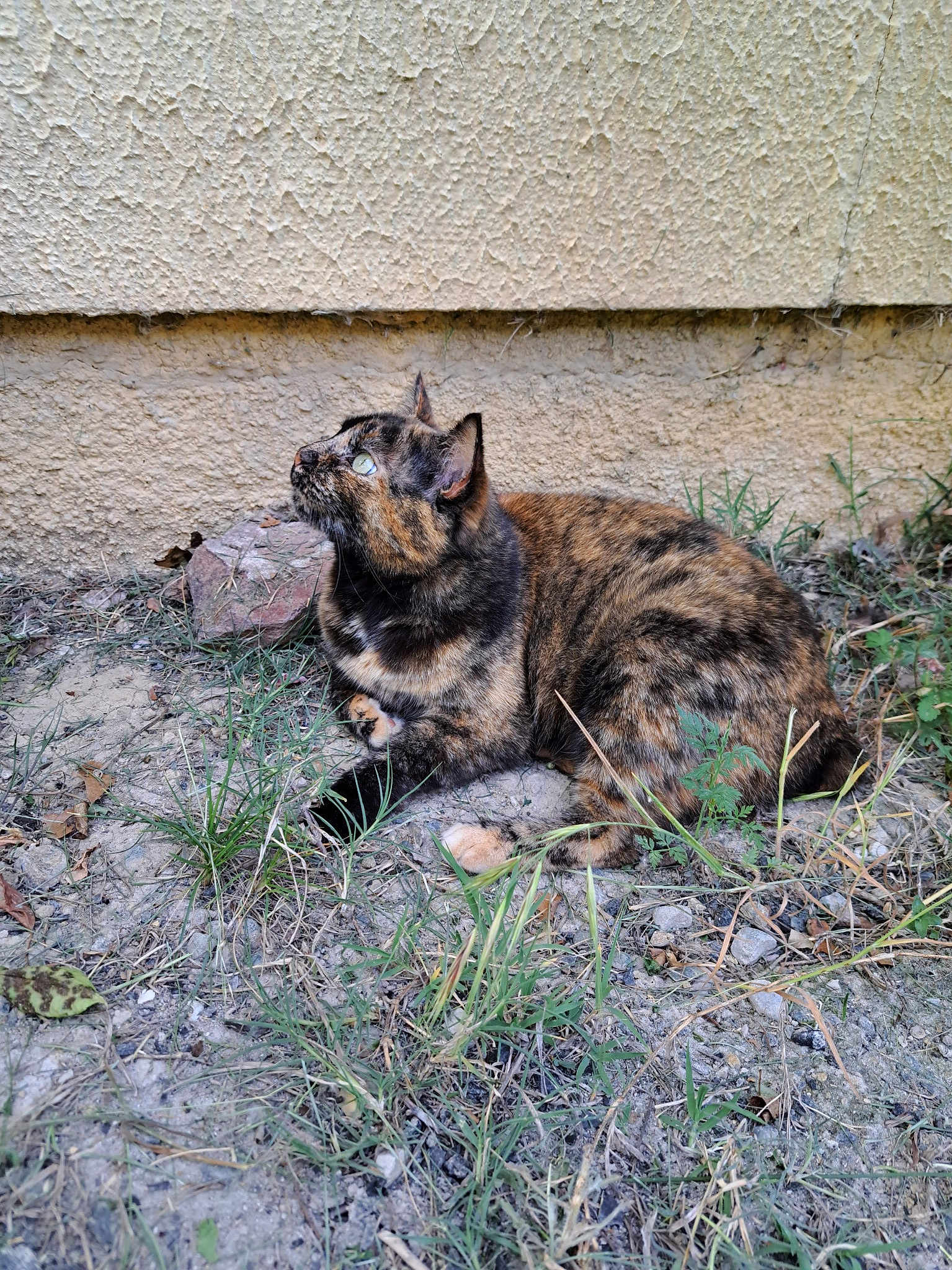 Luna