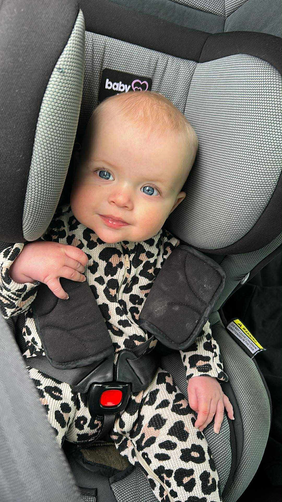 Arialla joined the competition — help win amazing prizes! baby, child, car_seat, blue_eyes, leopard_print, clothing, seat_belt, infant, sitting, portrait, cute, smile, hand, head, face, padded, safety, indoor, person, closeup