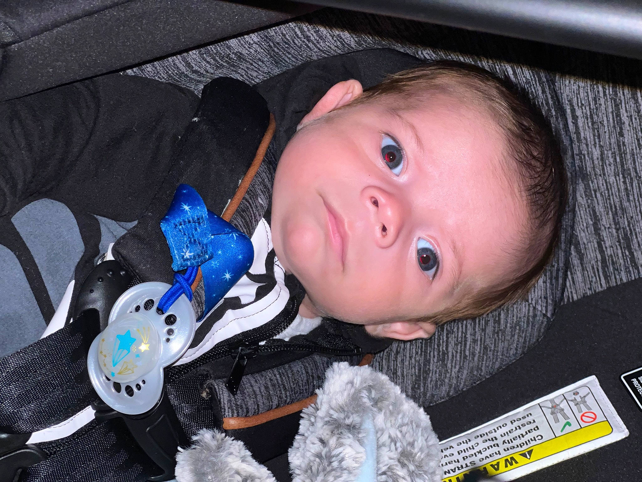 Lorenzo is registered to the contest to win money with this photo: baby, baby_products, baby_toddler_clothing, car_seat, carmine, cheek, child, electric_blue, eyebrow, eyelash, fun, iris, mouth, nose, person, product, space, toddler, toy